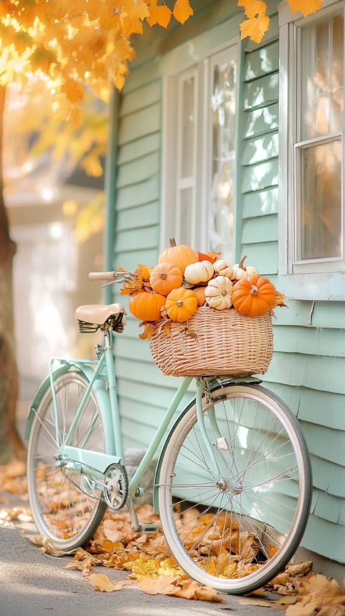 Tekvica a bycikel a niečo z jeseňe 