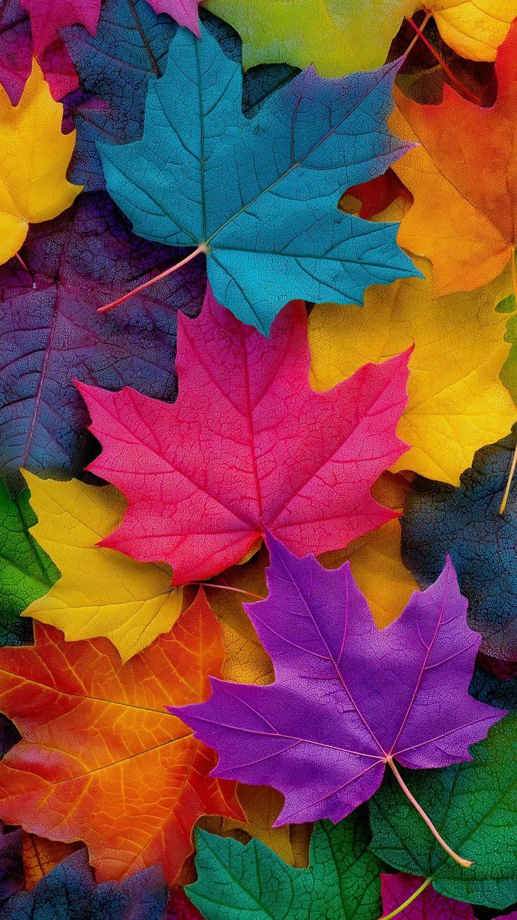 Farebne liste sú tie najkrajšie 